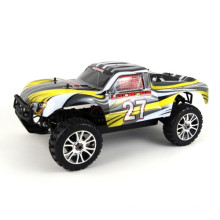 Échelle électrique à grande vitesse de la voiture RC 4WD 1/8